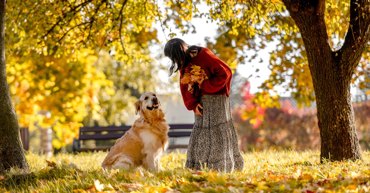Human-Grade vs Regular Dog Supplements - What's the Difference and Does It Actually Matter?