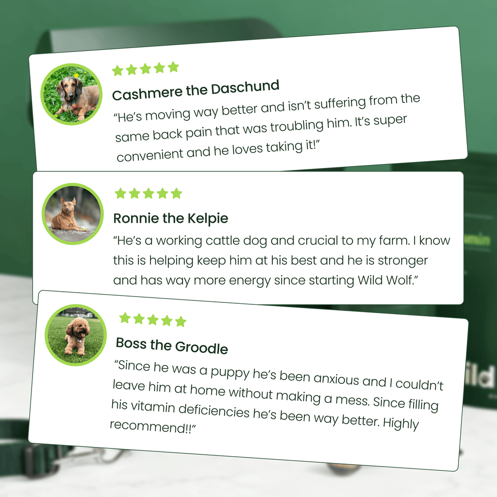 Dog Daily Multivitamin