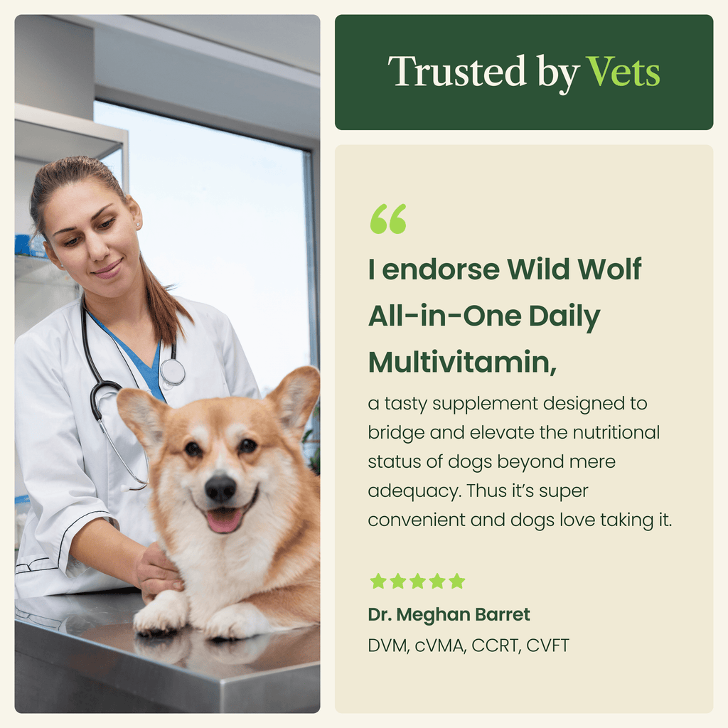 Dog Daily Multivitamin