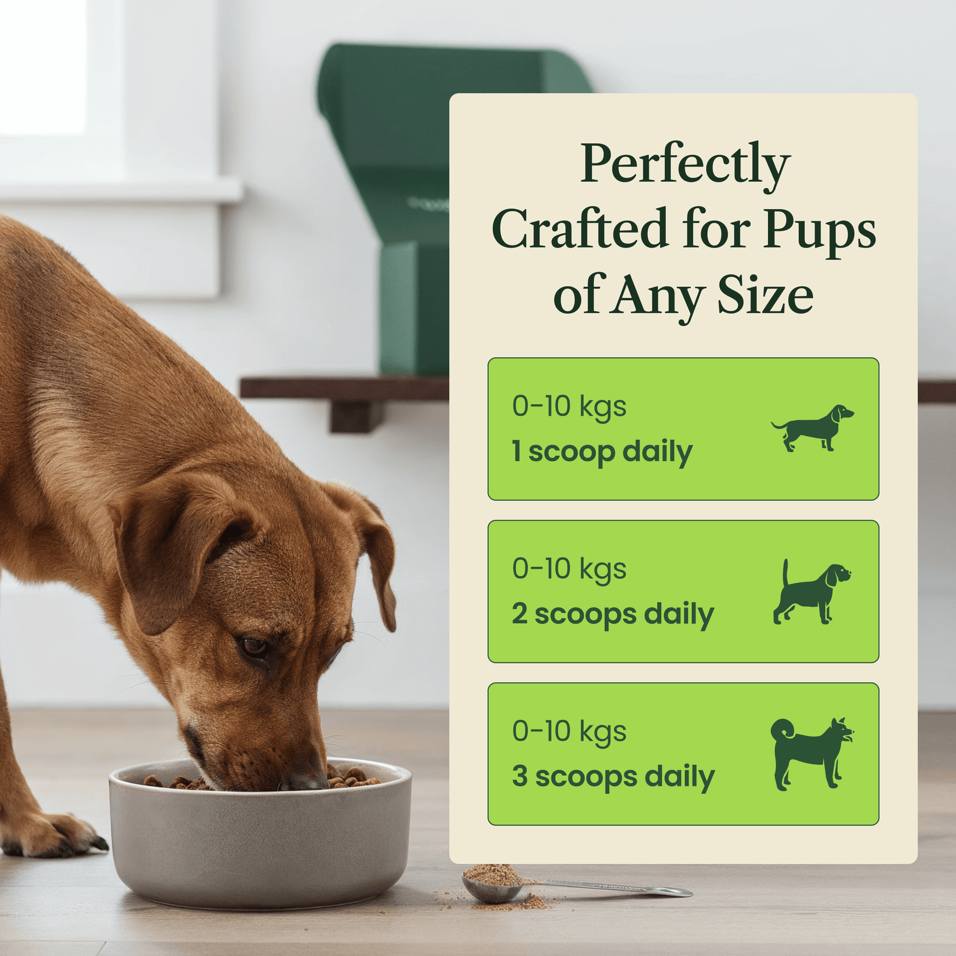 Dog Daily Multivitamin