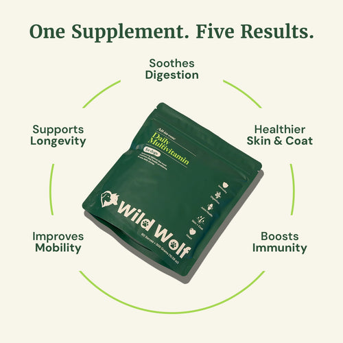 Daily Multivitamin